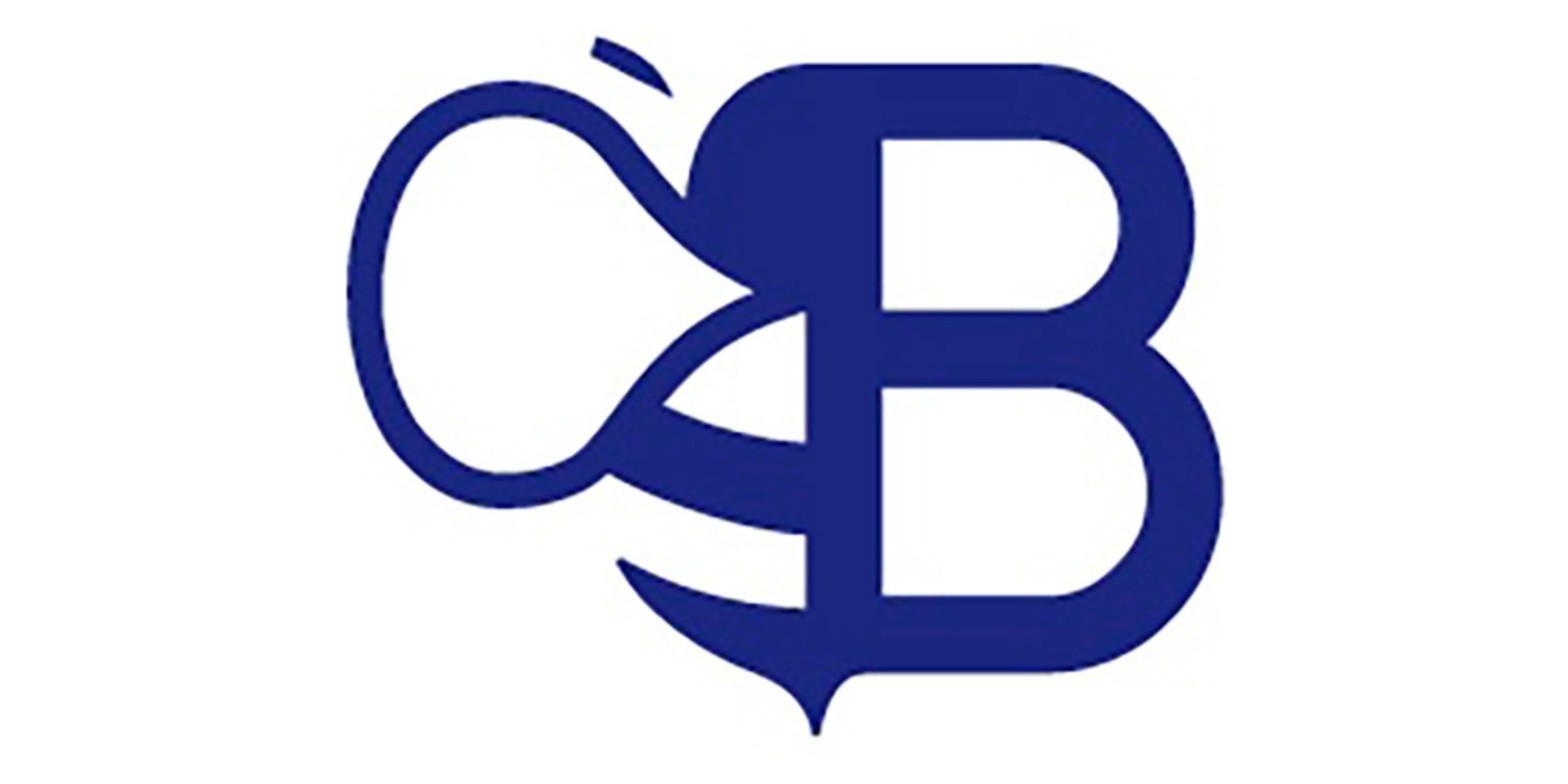 Bezzapinki International