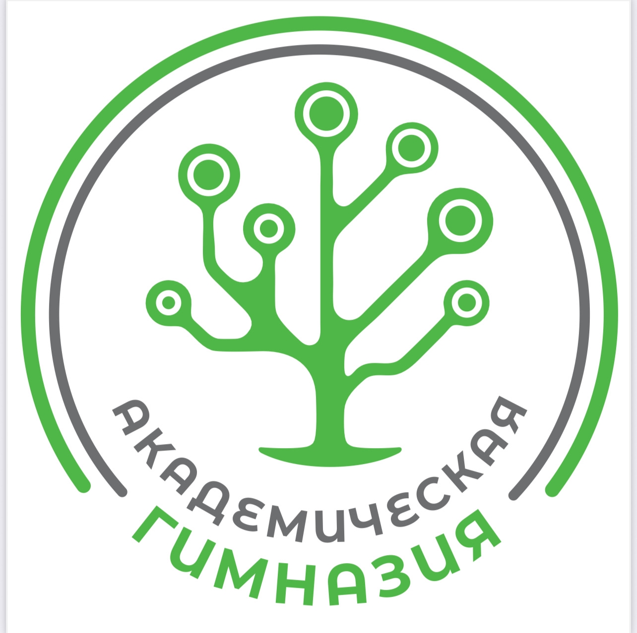 АНОО СОО "Академическая гимназия"