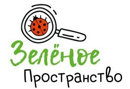 Логотип школы