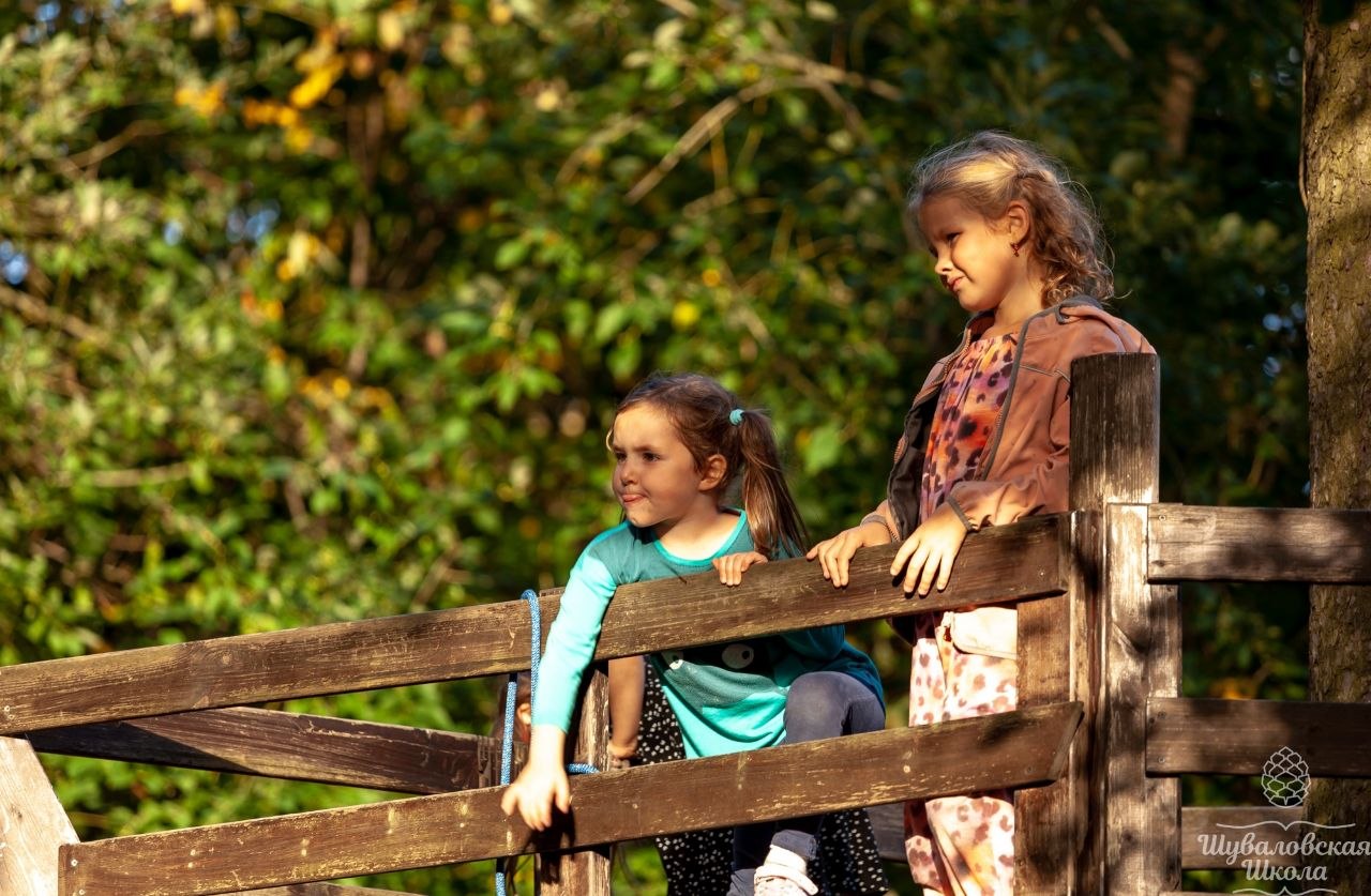 Шуваловская дача - фото 1