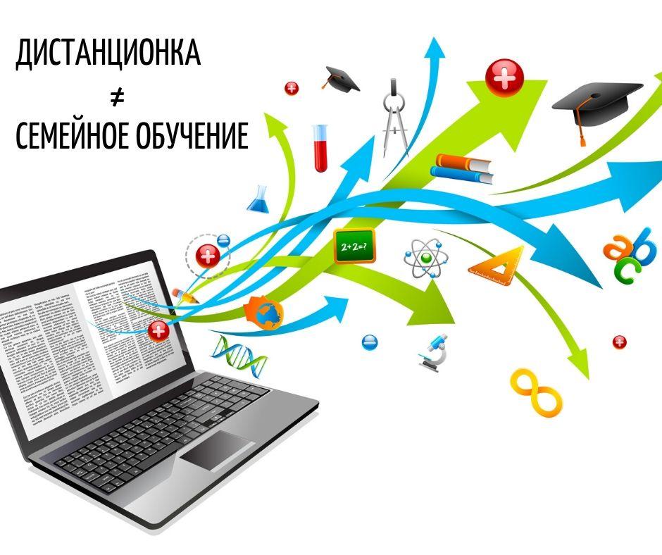 «Дистанционка», онлайн-школа и семейное образование — в чём разница.