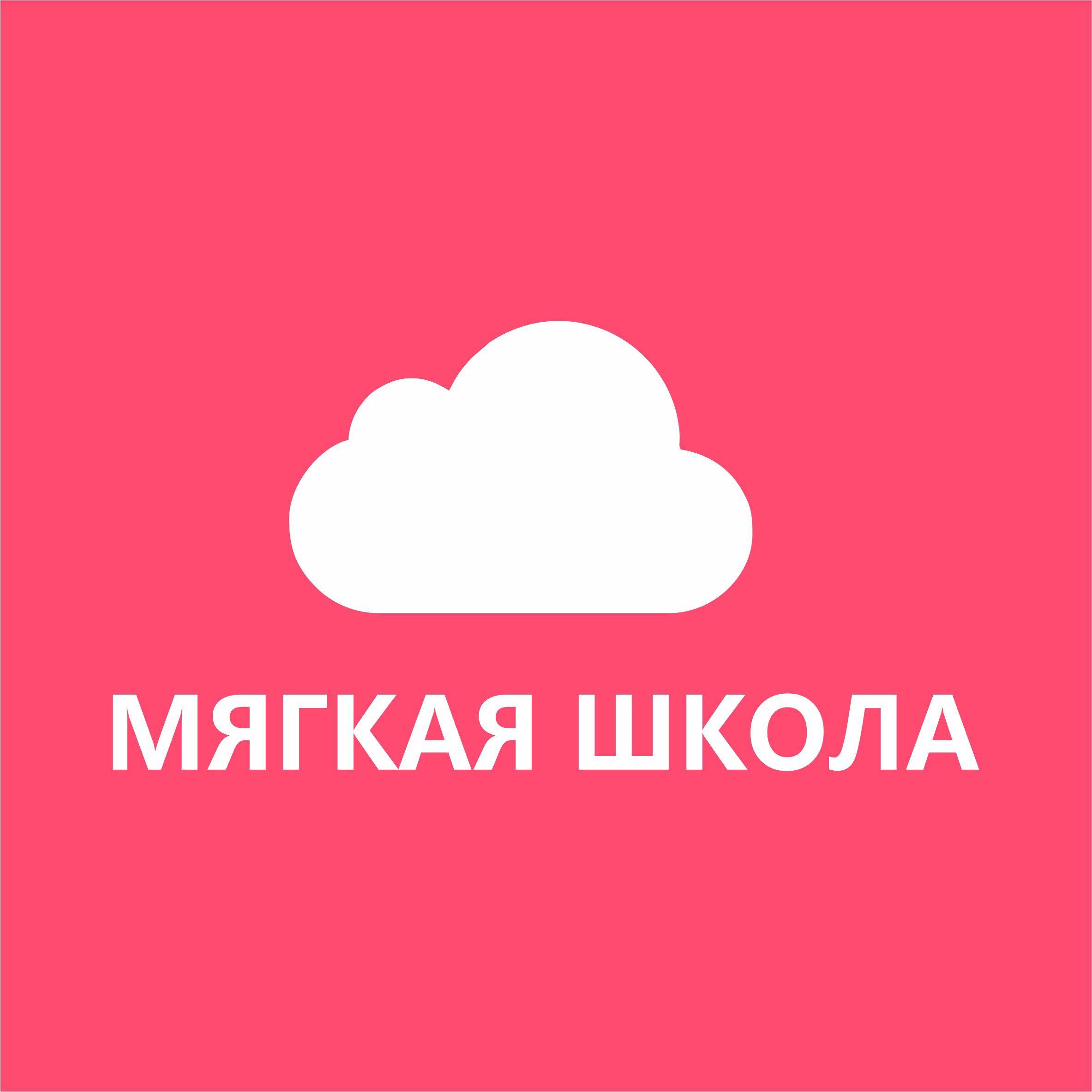 Софт Скул (Мягкая школа) - фото 1