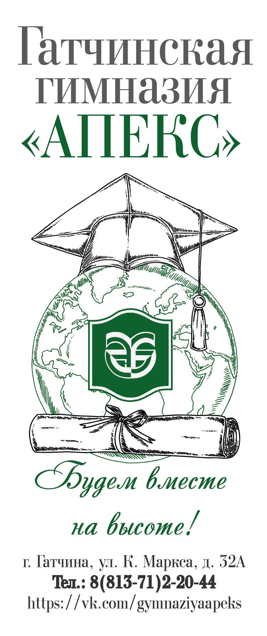 Гатчинская гимназия «Апекс» - фото 1