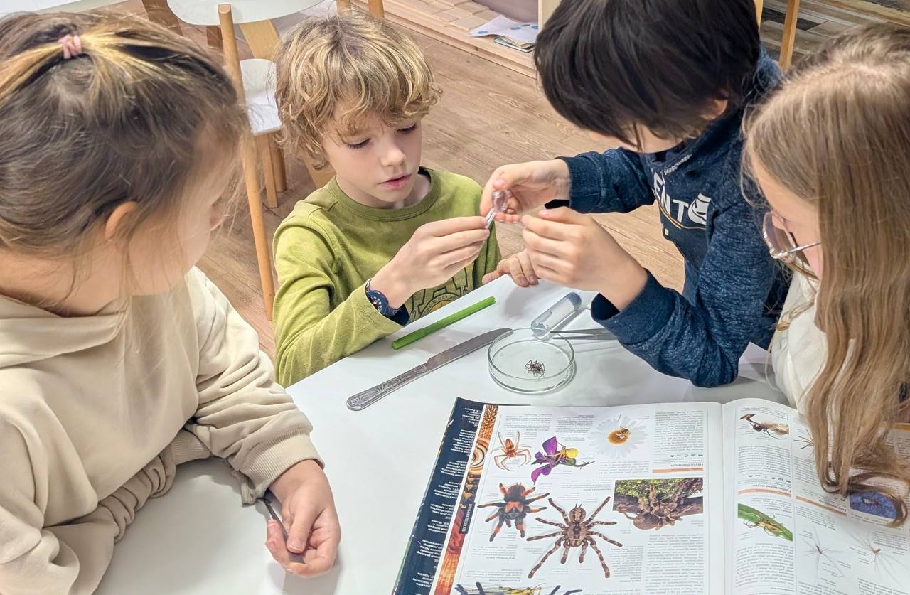 Онлайн встреча "Ответы на вопросы родителей" - фото 1