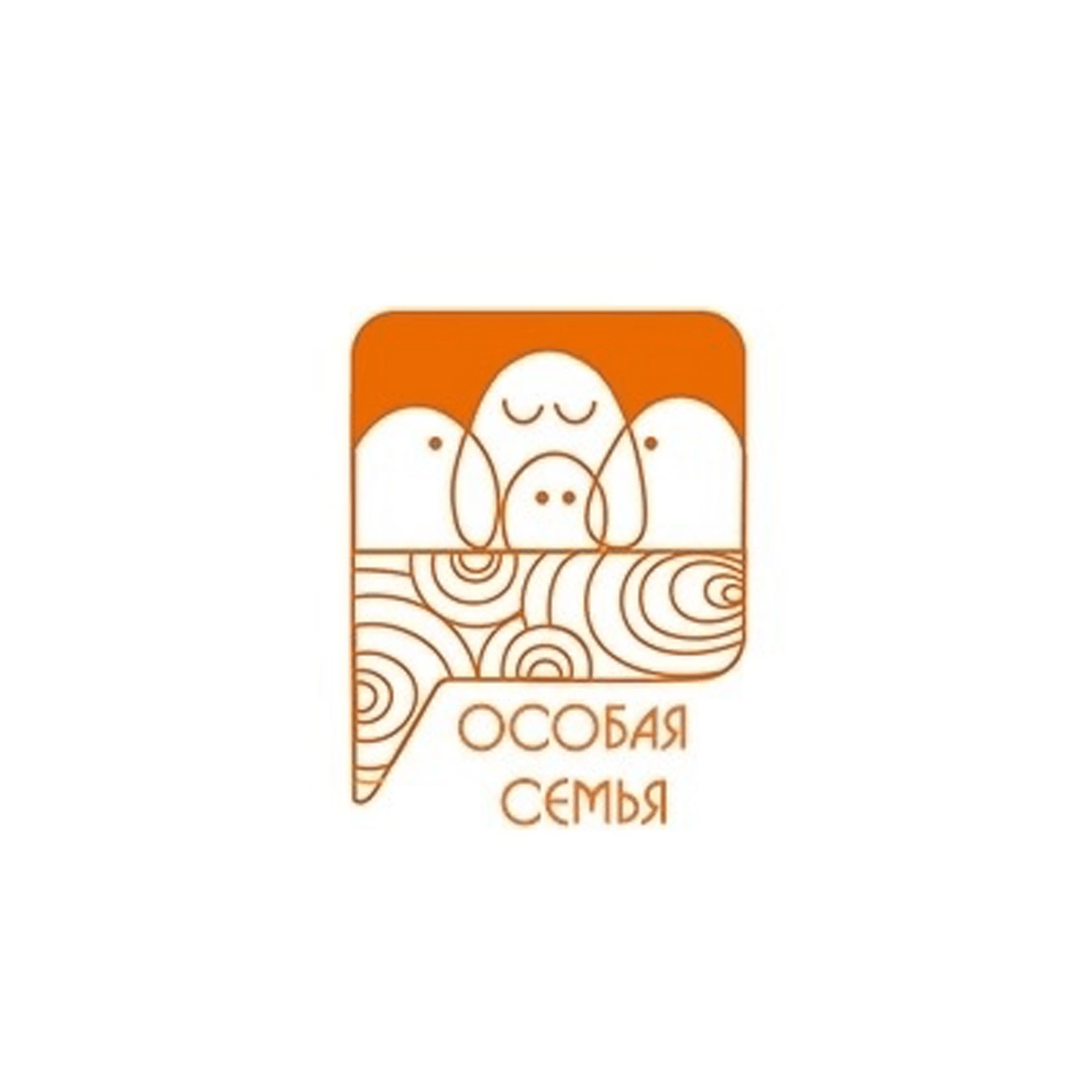 Развивающее пространство  «Особая семья»  - фото 1