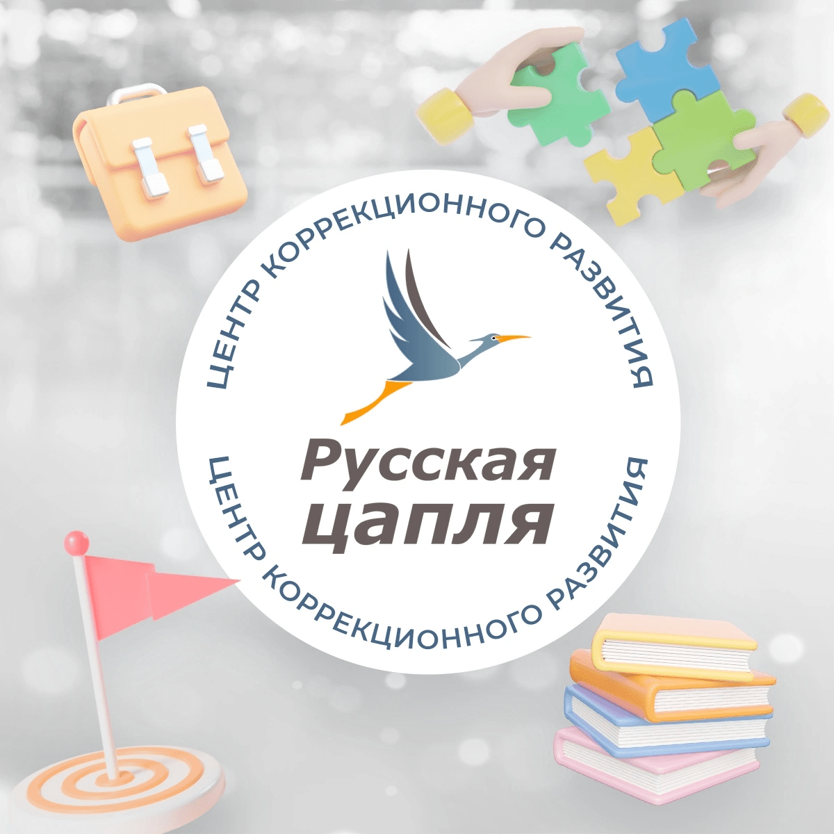 Коррекционные классы «Подготовка к школе» / Коррекционная школа «Русская цапля»